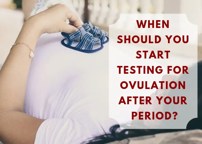 When should you start testing for ovulation after your period?
