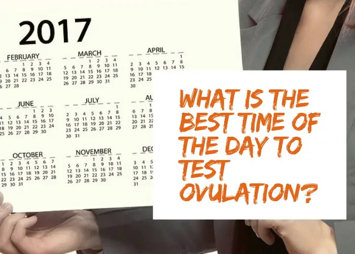 What is the best time of the day to test ovulation?