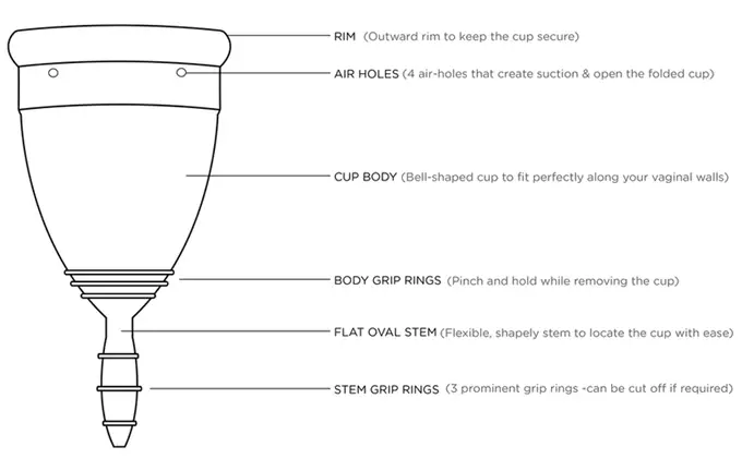 Shecup - Menstrual cup - Large size - 28 ml capacity - Bigger knob stem